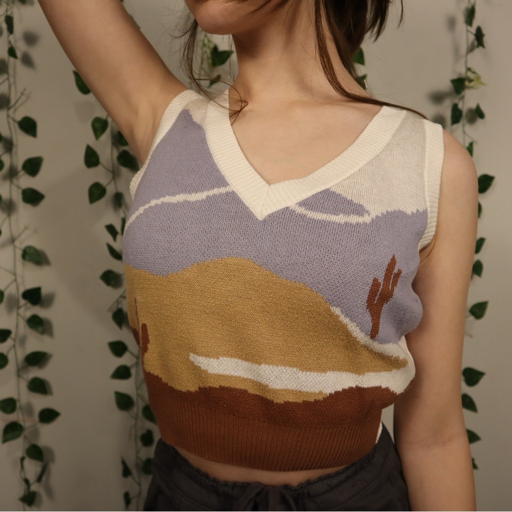 Hollister Crop Sweater Vest | Unique | Knit | Brown Blue and White